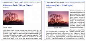 example-picture-in-feed-300x144